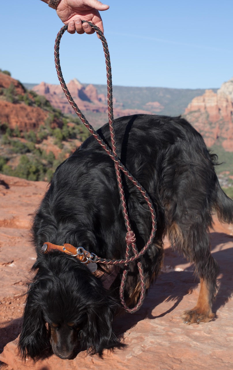 Salmon Pink Leash - Luxurious leather dog leash in salmon pink