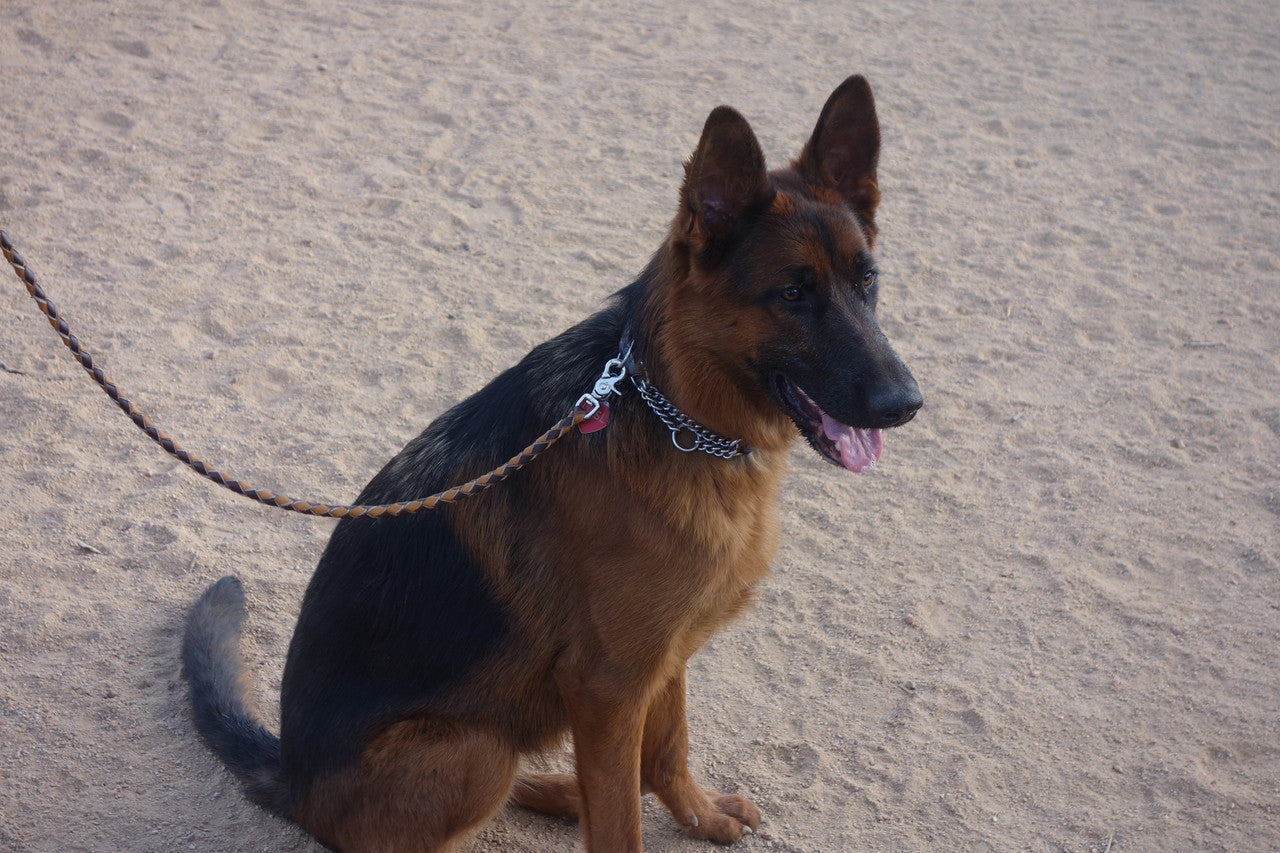 The Designer Classic 6 Foot Leather Dog Leash - Sedona Leather Company L.L.C.  - 4