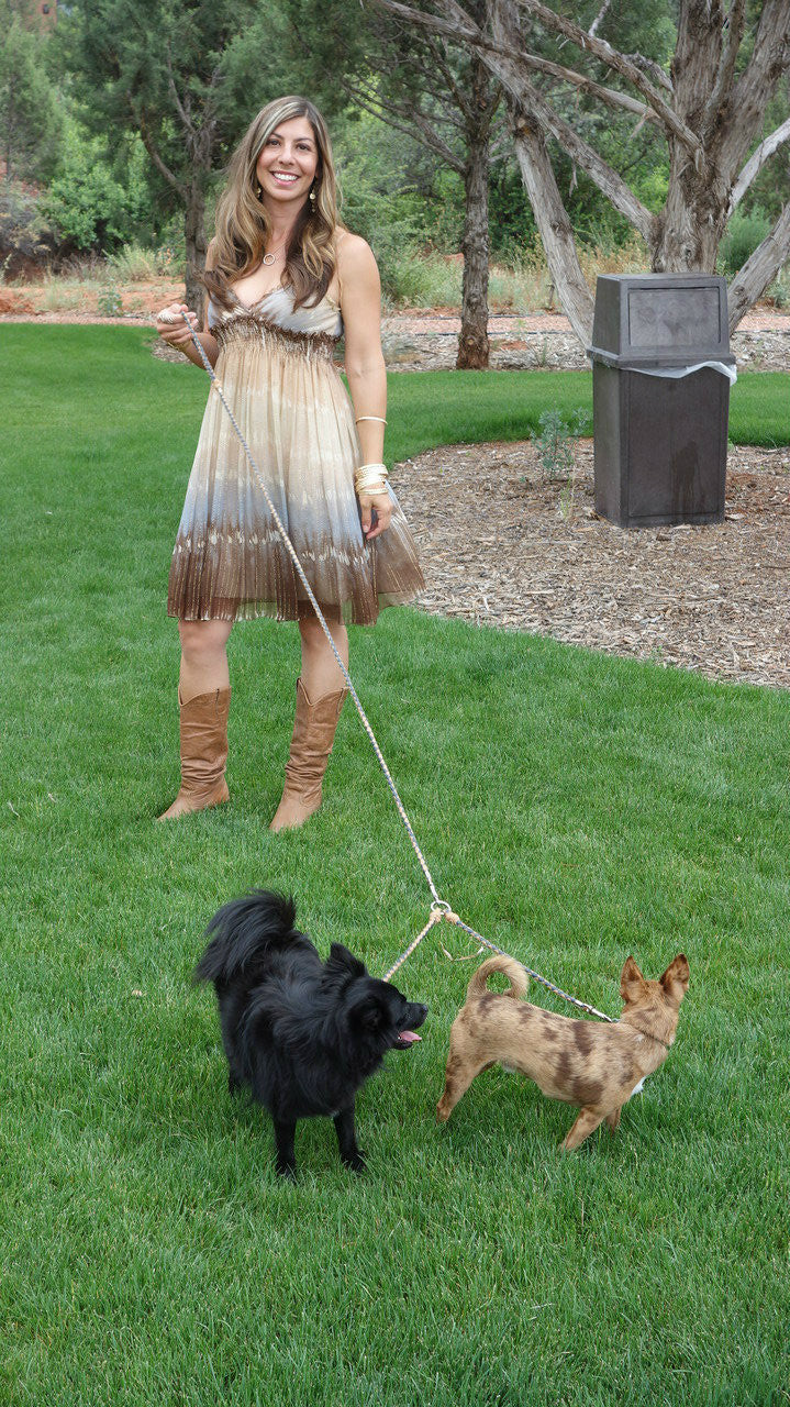 Dog leash top for two dogs
