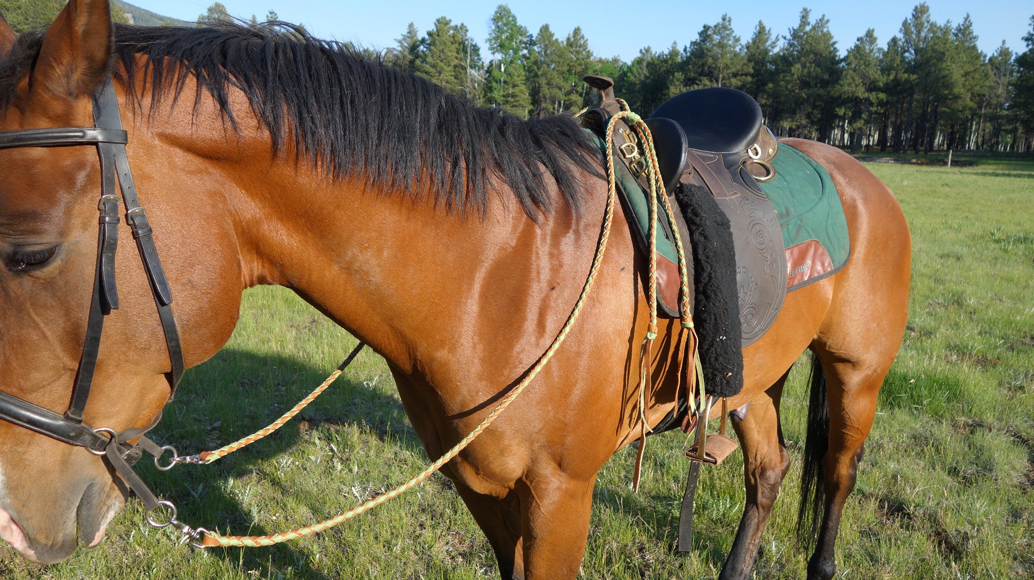 Leather Rope Bronc Rein Split 7ft - 4 Ply Bourbon Colored - Trigger Snap