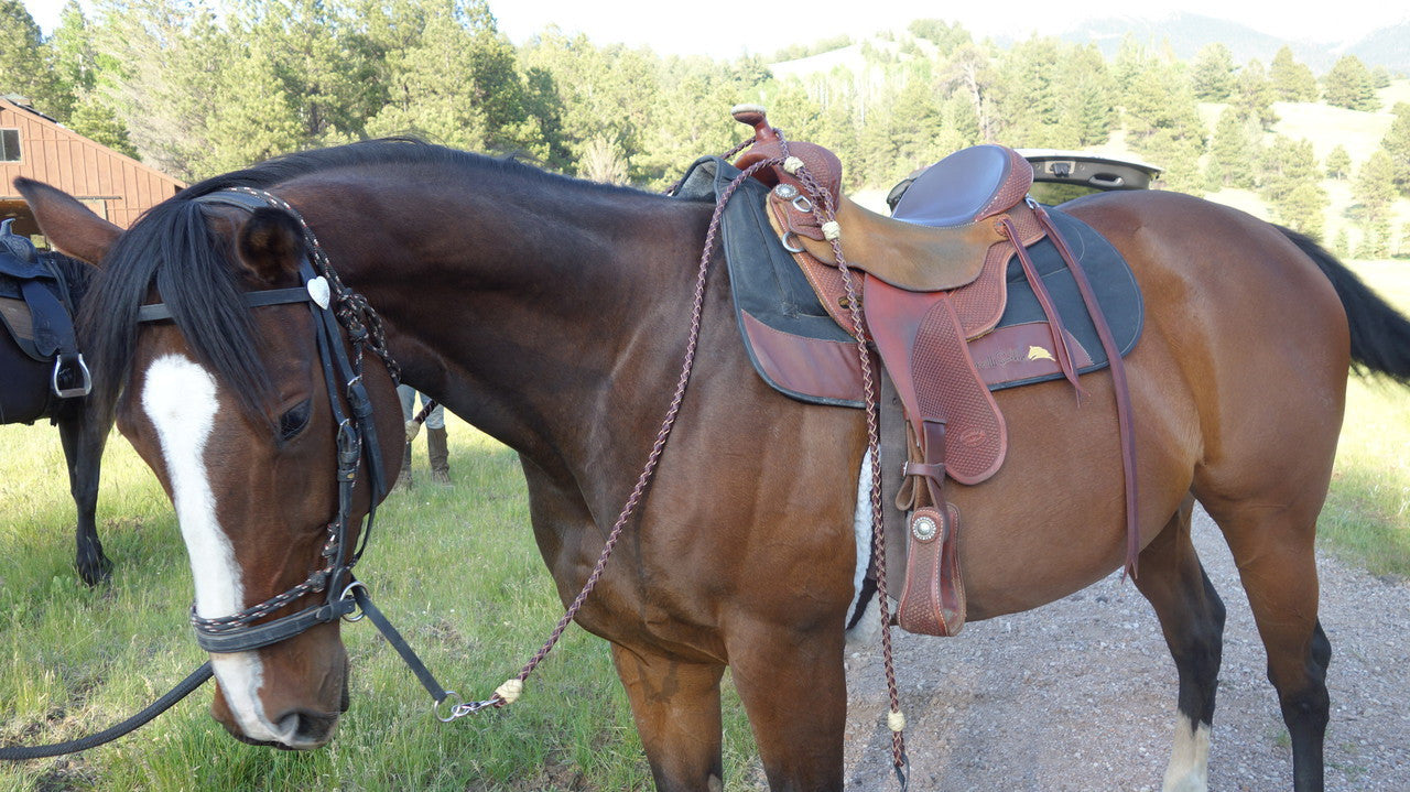 Braided Leather 8.5' Romel Horse Reins - Sedona Leather Company L.L.C.  - 1