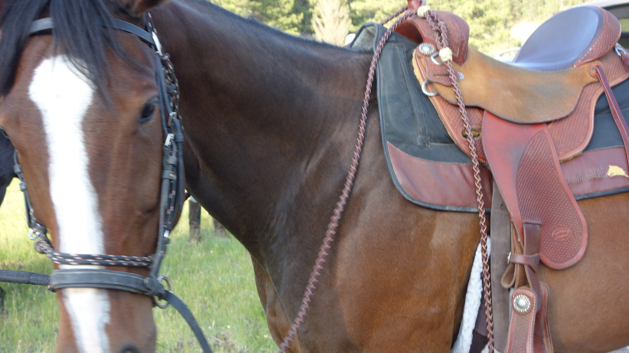 Braided Leather 8.5' Romel Horse Reins - Sedona Leather Company L.L.C.  - 6