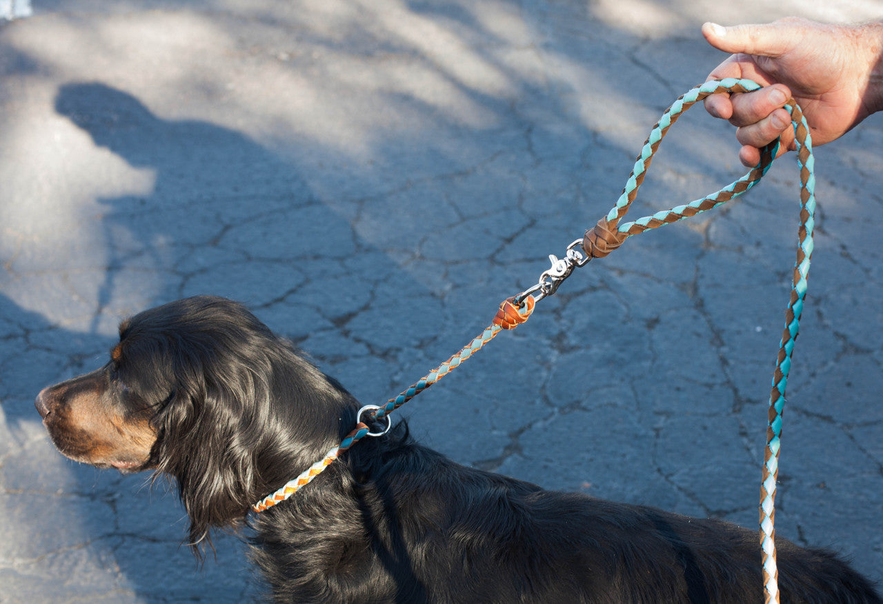 Designer Leather Dog leash, BARBIAN