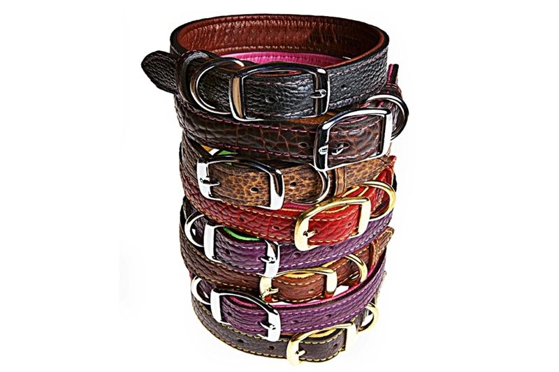 Buy Native Arizona Traditional Dog Collar Online