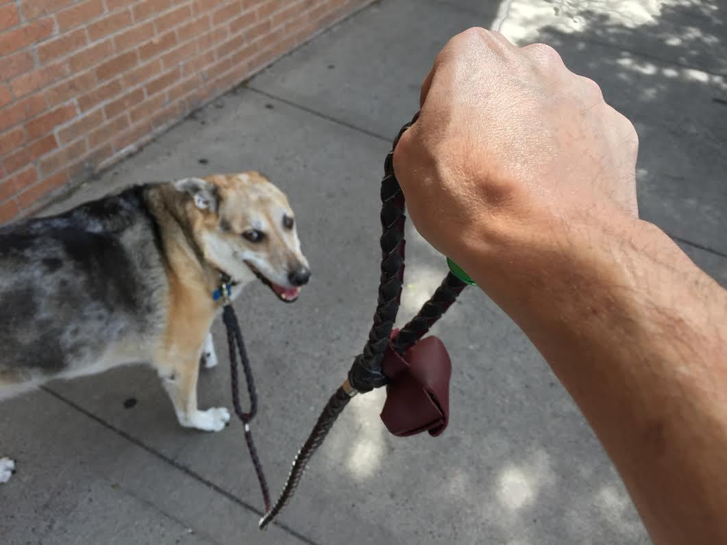 The Metropolitan Dog Leash (Two Handle Braided Leather 5' Dog Leash) - Sedona Leather Company L.L.C.  - 12