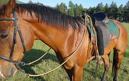 Horse Reins